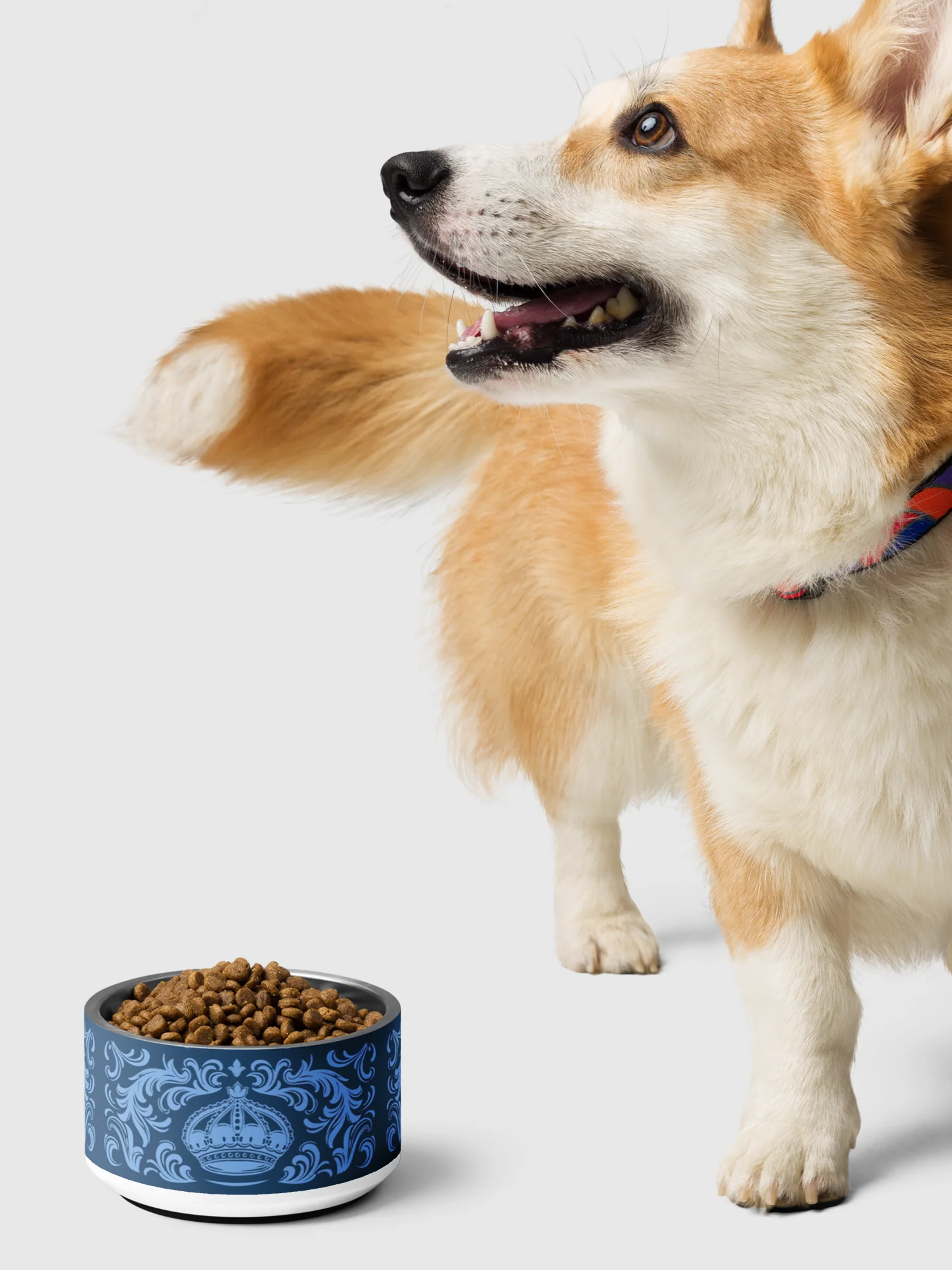 Bridgerton Pet Bowl Queen's Diamond - Image 3