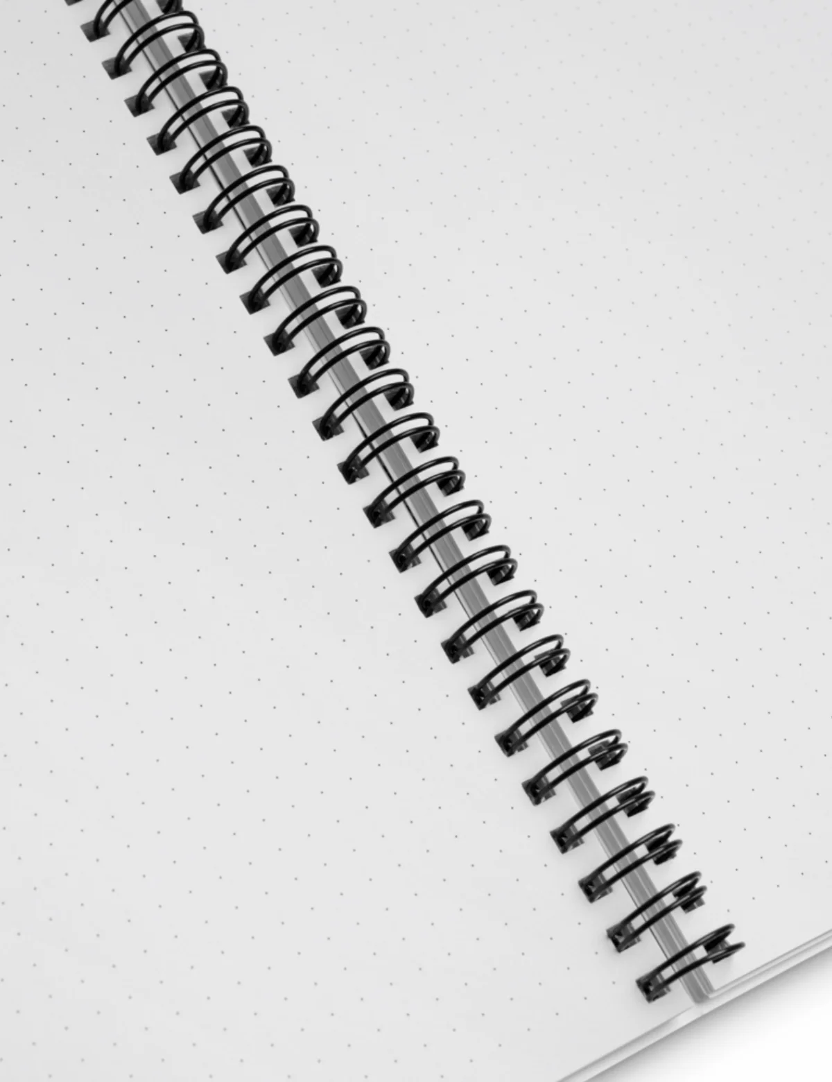 Leo Spiral Notebook - Image 5